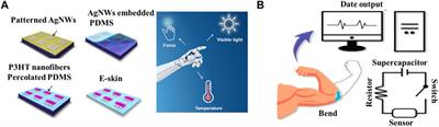 Bioinspired skin towards next-generation rehabilitation medicine